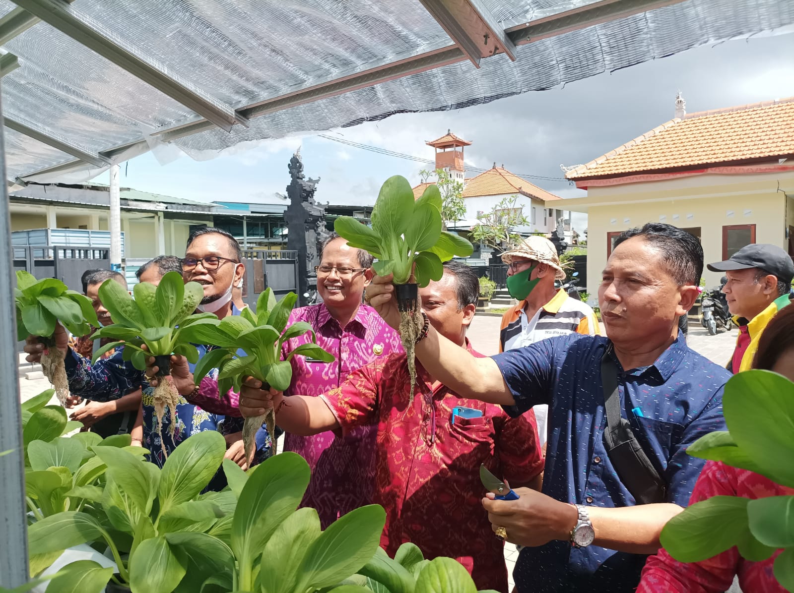 Panen Perdana dalam Kegiatan Ketahanan Pangan Nabati Kelompok Wanita Tani Karya Pangan Sari