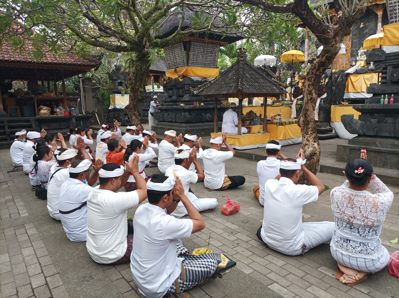 Kegiatan Pelepasan Bibit Ikan Nila dan Persembahyangan Bersama Dalam Rangka Menyambut Hari Tumpek Uye