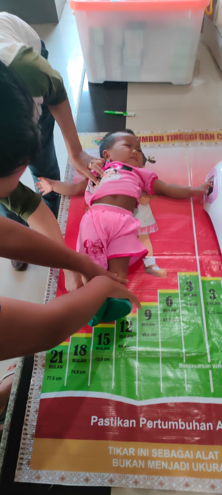 Kegiatan Posyandu di Dusun Sekar Kangin 