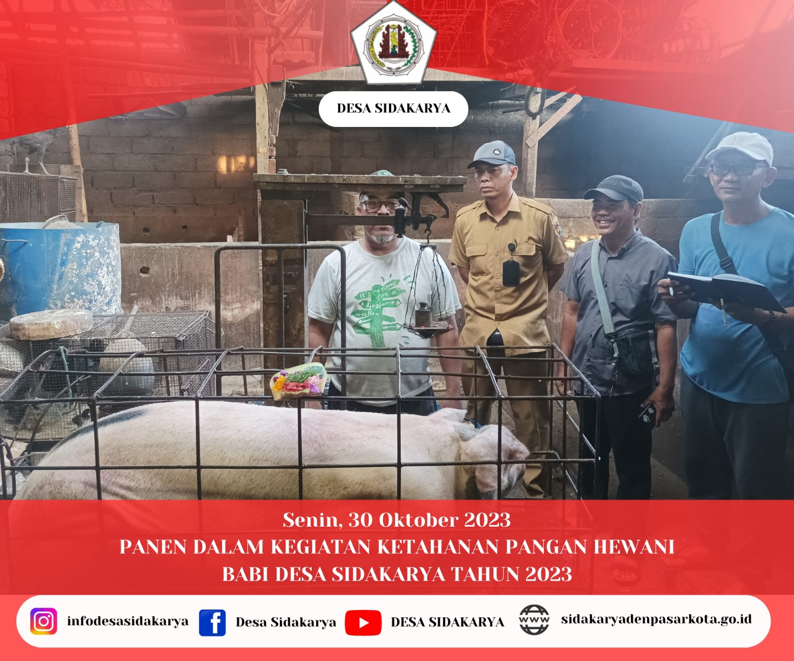 Panen dalam Kegiatan Ketahanan Pangan Hewani