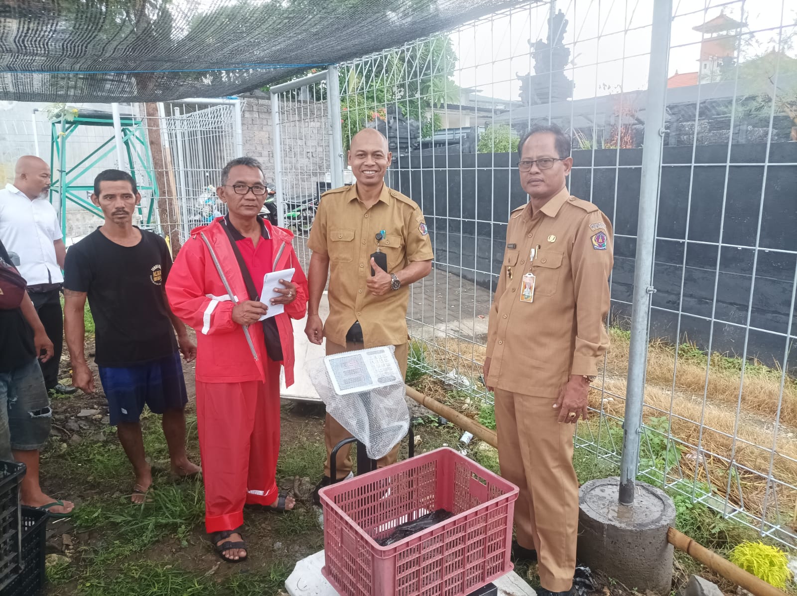 PANEN IKAN LELE DALAM KEGIATAN KETAHANAN PANGAN LELE
