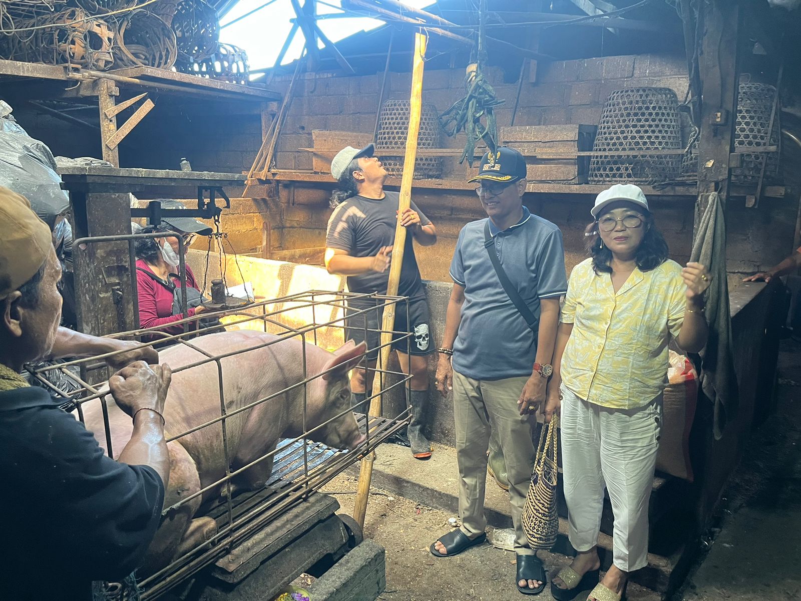 PANEN BABI DALAM KETAHANAN PANGAN HEWANI