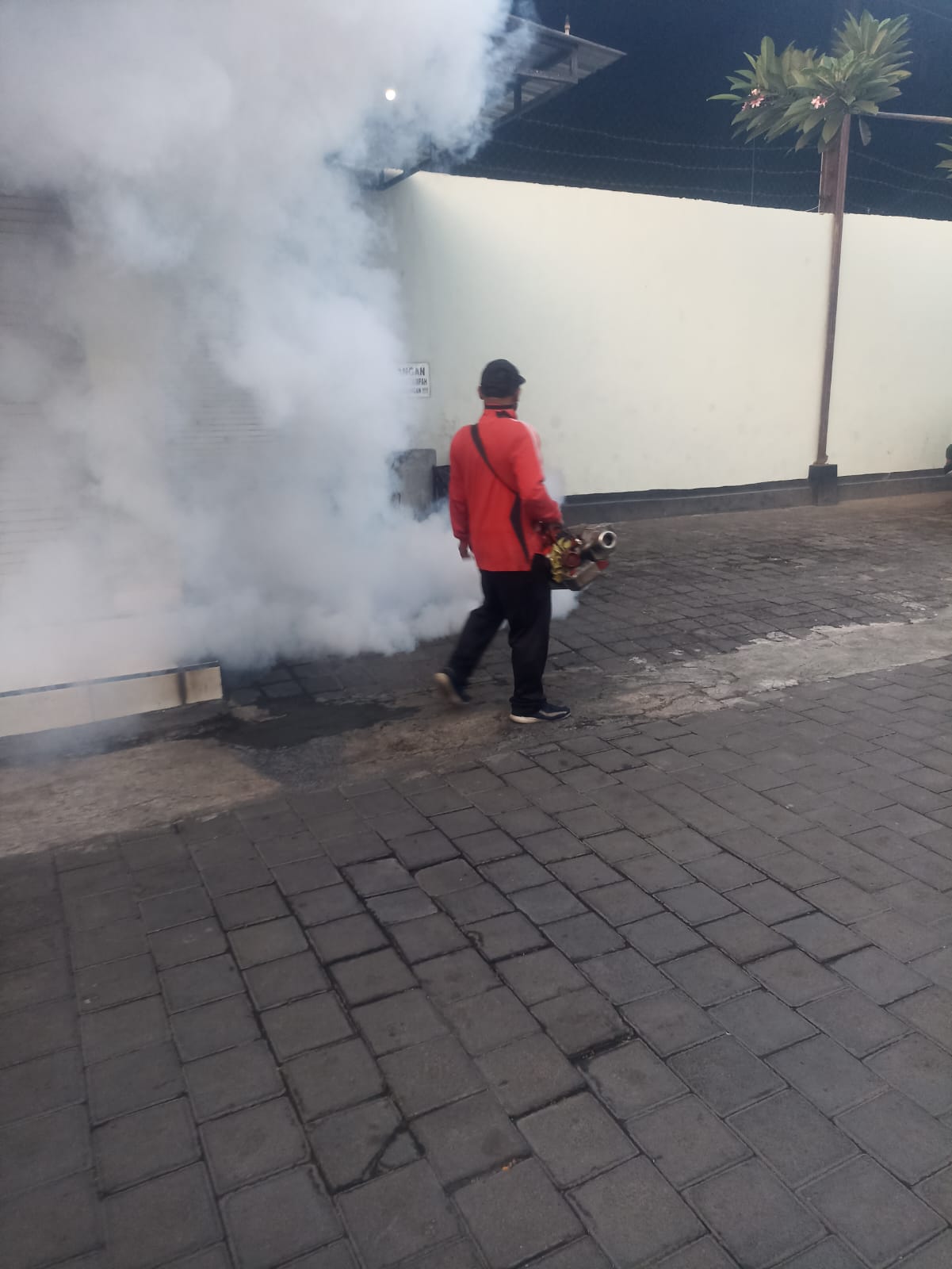 KEGIATAN FOGGING FOKUS