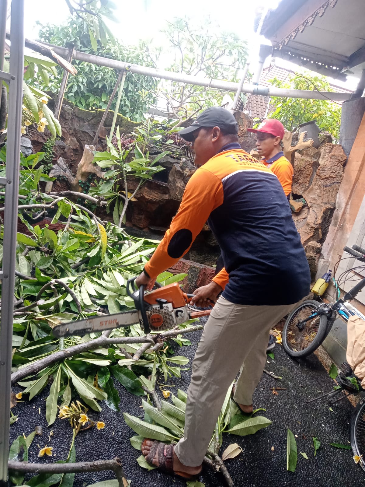 Taruna Siaga Bencana Desa Sidakarya beserta Perangkat Desa Sidakarya melakukan Inventarisasi kerusakan dan membantu Penanganan Pohon Tumbang, Pembersihan Puing 